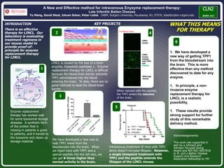 A New and Effective method for intravenous Enyzyme replacement therapy:
Late Infantile Batten Disease
Yu Meng, David Sleat, Istvan Sohar, Peter Lobel. CABM, Rutgers University, Piscataway, NJ, 07076, lobel@cabm.rutgers.edu
INTRODUCTION
There is no effective
therapy for LINCL. Our
laboratory is evaluating
treatment regimens in
our mouse model to
provide proof-of-
principle for enzyme
replacement therapy
for LINCL.
KEY PROJECTS
1. We have developed a
new way of getting TPP1
from the bloodstream into
the brain. This is more
effective than any method
discovered to date for any
enzyme.
1. In principle, a non-
invasive enzyme
replacement therapy for
LINCL is a realistic
possibility.
1. These results provide
strong support for further
study of this remarkable
delivery method.
WHAT THIS MEANS
FOR THERAPY
Acknowledgements:
This work was supported in
part by a Johnson and
Johnson Focused Giving
Award and NIH R01 NS37918
to PL and a Batten Disease
Support and Research
Association fellowship to YM
Enzyme replacement
therapy has worked well
for some lysosomal storage
diseases. A synthetic form
of the protein that is
missing in patients is given
to patients, and it travels to
the lysosome and clears up
storage material.
1
4
Cerebral Cortex
LINCL
mouse
LINCL
mouse
treated
with TPP1
and
Peptide
6
LINCL is caused by the loss of a brain
enzyme, tripeptidyl peptidase 1. Enzyme
replacement therapy for LINCL is difficult
because the blood-brain barrier prevents
TPP1 administered into the blood
entering the brain. To date, there are no
good methods to beat the blood-brain
barrier.
2
We have developed a new way to
help TPP1 move from the
bloodstream into the brain. When
we inject mice with TPP1 and a
special peptide into the tail vein, we
can get 8-times higher than
normal activity in the brain.
When injected with the peptide,
the TPP1 enters the neurons
of the brain.
Intravenous treatment of mice with TPP1
alone doesn’t increase lifespan. However,
a single timepoint treatment with
TPP1 and the peptide extends the
lifespan of the LINCL mouse.
Treatment
5
3
Wild-type
mouse
 