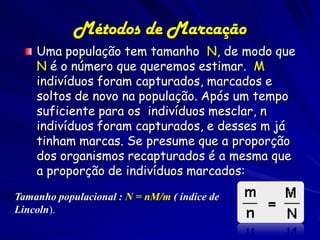 Métodos de Marcação
    Uma população tem tamanho N, de modo que
    N é o número que queremos estimar. M
    indivíduos foram capturados, marcados e
    soltos de novo na população. Após um tempo
    suficiente para os indivíduos mesclar, n
    indivíduos foram capturados, e desses m já
    tinham marcas. Se presume que a proporção
    dos organismos recapturados é a mesma que
    a proporção de indivíduos marcados:

Tamanho populacional : N = nM/m ( índice de
Lincoln).
 