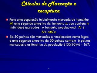 Cálculos de Marcação e
              recaptura
Para uma população inicialmente marcada de tamanho
M, uma segunda amostra de tamanho n, que contem x
indivíduos marcados, o tamanho populacional N é:
                     N = nM/x
Se 20 peixes são marcados e recolocados numa lagoa
e uma segunda amostra de 50 peixes contem 6 peixes
marcados a estimativa da população é 50(20)/6 = 167.




                        16
 
