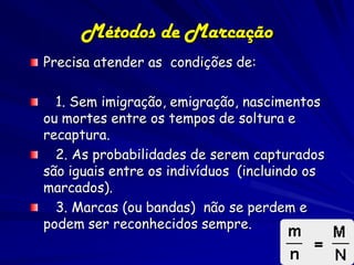 Métodos de Marcação
Precisa atender as condições de:

  1. Sem imigração, emigração, nascimentos
ou mortes entre os tempos de soltura e
recaptura.
  2. As probabilidades de serem capturados
são iguais entre os indivíduos (incluindo os
marcados).
  3. Marcas (ou bandas) não se perdem e
podem ser reconhecidos sempre.
 