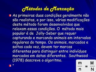Métodos de Marcação
As primeiras duas condições geralmente não
são realistas, e por isso, várias modificações
deste método foram desenvolvidos que
relaxam essas condições. O método mais
popular é de Jolly-Seber que requer
capturando e marcando animais em intervalos
regulares do tempo. Os animais, marcados e
soltos cada vez, devem ter marcas
diferentes para distinguir entre indivíduos
marcados em datas diferentes. Southwood
(1978) descreve o algoritmo.
*
 