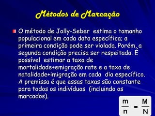 Métodos de Marcação
O método de Jolly-Seber estima o tamanho
populacional em cada data específica; a
primeira condição pode ser violada. Porém, a
segunda condição precisa ser respeitada. É
possível estimar a taxa de
mortalidade+emigração rate e a taxa de
natalidade+imigração em cada dia específico.
A premissa é que essas taxas são constante
para todos os indivíduos (incluindo os
marcados).
 