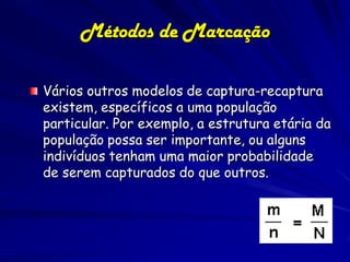 Métodos de Marcação

Vários outros modelos de captura-recaptura
existem, específicos a uma população
particular. Por exemplo, a estrutura etária da
população possa ser importante, ou alguns
indivíduos tenham uma maior probabilidade
de serem capturados do que outros.
 