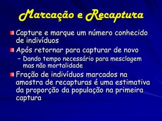 Marcação e Recaptura
Capture e marque um número conhecido
de indivíduos
Após retornar para capturar de novo
– Dando tempo necessário para mesclagem
  mas não mortalidade
Fração de indivíduos marcados na
amostra de recapturas é uma estimativa
da proporção da população na primeira
captura
 