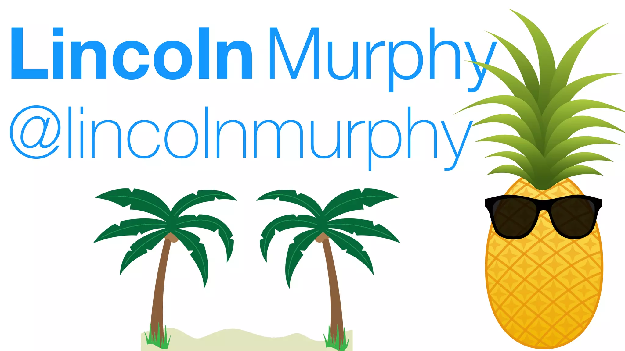 LincolnMurphy
@lincolnmurphy