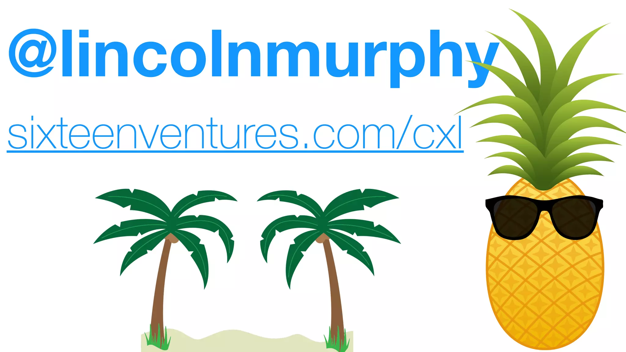 @lincolnmurphy
sixteenventures.com/cxl