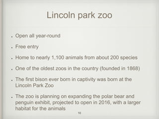 Lincoln park zoo 
Open all year-round 
Free entry 
Home to nearly 1,100 animals from about 200 species 
One of the oldest zoos in the country (founded in 1868) 
The first bison ever born in captivity was born at the 
Lincoln Park Zoo 
The zoo is planning on expanding the polar bear and 
penguin exhibit, projected to open in 2016, with a larger 
habitat for the animals 
10 
 