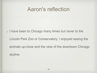 Aaron's reflection 
I have been to Chicago many times but never to the 
Lincoln Park Zoo or Conservatory. I enjoyed seeing the 
animals up-close and the view of the downtown Chicago 
skyline. 
14 
 