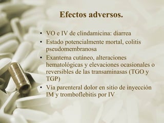 Efectos adversos.   VO e IV de clindamicina: diarrea Estado potencialmente mortal, colitis pseudomembranosa Exantema cutáneo, alteraciones hematológicas y elevaciones ocasionales o reversibles de las transaminasas (TGO y TGP) Vía parenteral dolor en sitio de inyección IM y tromboflebitis por IV  