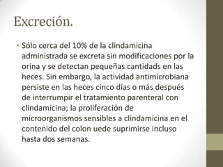 Excreción.
• Sólo cerca del 10% de la clindamicina
administrada se excreta sin modificaciones por la
orina y se detectan pequeñas cantidads en las
heces. Sin embargo, la actividad antimicrobiana
persiste en las heces cinco días o más después
de interrumpir el tratamiento parenteral con
clindamicina; la proliferación de
microorganismos sensibles a clindamicina en el
contenido del colon uede suprimirse incluso
hasta dos semanas.

 