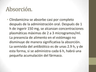 Absorción.
• Clindamicina se absorbe casi por completo
después de la administración oral. Después de 1
h de ingerir 150 mg, se alcanzan concentraciones
plasmáticas máximas de 2 a 3 microgramos/ml.
La presencia de alimento en el estómago no
disminuye de manera significativa la absorción.
La semivida del antibiótico es de unas 2.9 h, y de
esta forma, si se administra cada 6 h, habrá una
pequeña acumulación del fármaco.

 