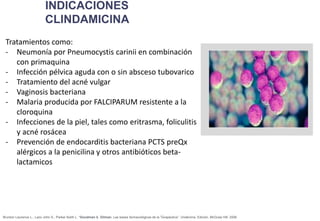www.bestppt.com
10
Tratamientos como:
- Neumonía por Pneumocystis carinii en combinación
con primaquina
- Infección pélvica aguda con o sin absceso tubovarico
- Tratamiento del acné vulgar
- Vaginosis bacteriana
- Malaria producida por FALCIPARUM resistente a la
cloroquina
- Infecciones de la piel, tales como eritrasma, foliculitis
y acné rosácea
- Prevención de endocarditis bacteriana PCTS preQx
alérgicos a la penicilina y otros antibióticos beta-
lactamicos
Brunton Laurence L., Lazo John S., Parker Keith L. “Goodman &. Gilman. Las bases farmacológicas de la Terapéutica”. Undécima. Edición. McGraw Hill. 2006
 