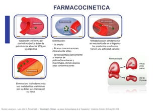 www.bestppt.com
Absorción: en forma de
clorhidrato (sal) o éster de
palmitato se absorbe 90% por
vía digestiva
Distribución:
- Es amplia
- Alcanza concentraciones
clínicamente útiles
- Es transportada activamente
al interior de
polimorfonucleares y
macrófagos, donde alcanza
altas concentraciones
Metabolización: clindamicina
es metabolizada en el hígado y
los productos resultantes
tienen una actividad variable
Eliminacion: la clindamicina y
sus metabolitos se eliminan
por via biliar y es menos por
via renal
Brunton Laurence L., Lazo John S., Parker Keith L. “Goodman &. Gilman. Las bases farmacológicas de la Terapéutica”. Undécima. Edición. McGraw Hill. 2006
 
