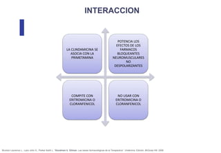 www.bestppt.com
LA CLINDAMICINA SE
ASOCIA CON LA
PRIMETAMINA
POTENCIA LOS
EFECTOS DE LOS
FARMACOS
BLOQUEANTES
NEUROMUSCULARES
NO
DESPOLARIZANTES
COMPITE CON
ERITROMICINA O
CLORANFENICOL
NO USAR CON
ERITROMICINA O
CLORANFENICOL
Brunton Laurence L., Lazo John S., Parker Keith L. “Goodman &. Gilman. Las bases farmacológicas de la Terapéutica”. Undécima. Edición. McGraw Hill. 2006
 