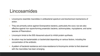 Lincosamides
 Lincomycins resemble macrolides in antibacterial spectrum and biochemical mechanisms of
action.
 They are primarily active against Grampositive bacteria, particularly the cocci, but are also
effective against non–spore-forming anaerobic bacteria, actinomycetes, mycoplasma, and some
species of Plasmodium.
 Lincomycin binds to the 50S ribosomal subunit to inhibit protein synthesis.
 Its action may be bacteriostatic or bactericidal depending on various factors, including the
concentration of the antibiotic.
 A pattern of bacterial resistance and cross-resistance to lincomycins similar to that observed
with the macrolides has been emerging.
 