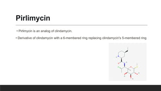 Pirlimycin
• Pirlimycin is an analog of clindamycin.
• Derivative of clindamycin with a 6-membered ring replacing clindamycin's 5-membered ring
 