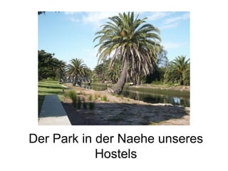 Der Park in der Naehe unseres Hostels 