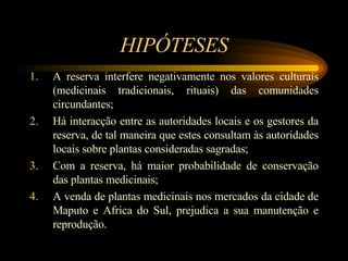 HIP Ó TESES A reserva interfere negativamente nos valores culturais (medicinais tradicionais, rituais) das comunidades circundantes; H á  interacção entre as autoridades locais e os gestores da reserva, de tal maneira que estes consultam  à s autoridades locais sobre plantas consideradas sagradas; Com a reserva, h á  maior probabilidade de conservação das plantas medicinais; A venda de plantas medicinais nos mercados da cidade de Maputo e Africa do Sul, prejudica a sua manutenção e reprodução. 