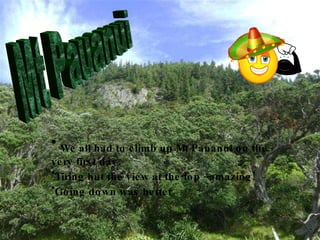 We all had to climb up Mt Pauanui on the very first day. Tiring but the view at the top –amazing! Going down was better. Mt Pauanui 