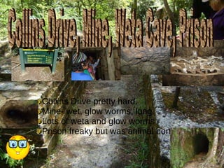 Collins Drive pretty hard. Mine- wet, glow worms, long. Lots of weta and glow worms Prison freaky but was animal bones. Collins Drive, Mine, Weta Cave, Prison 