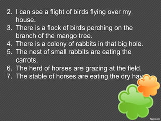 2. I can see a flight of birds flying over my
house.
3. There is a flock of birds perching on the
branch of the mango tree.
4. There is a colony of rabbits in that big hole.
5. The nest of small rabbits are eating the
carrots.
6. The herd of horses are grazing at the field.
7. The stable of horses are eating the dry hay.
 