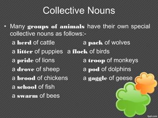 Collective Nouns
• Many groups of animals have their own special
collective nouns as follows:-
a herd of cattle a pack of wolves
a litter of puppies a flock of birds
a pride of lions a troop of monkeys
a drove of sheep a pod of dolphins
a brood of chickens a gaggle of geese
a school of fish
a swarm of bees
 
