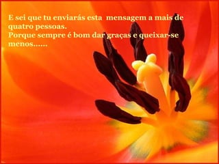 E sei que tu enviarás esta  mensagem a mais de quatro pessoas. Porque sempre é bom dar graças e queixar-se menos...... 