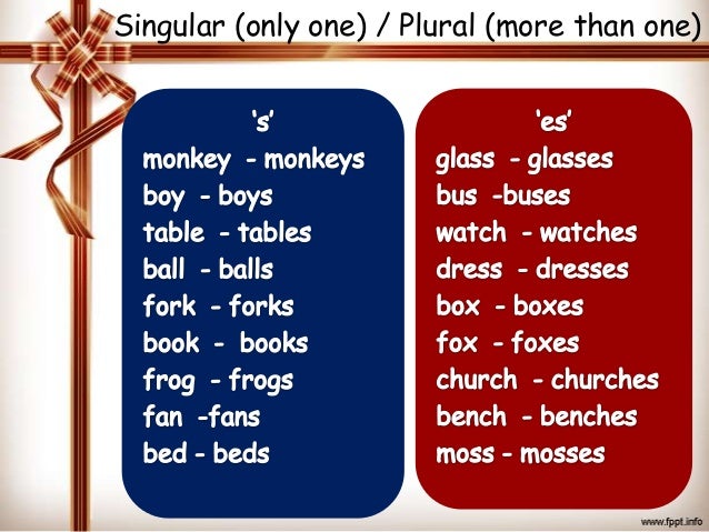 singular and plural plural form of church