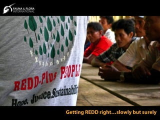 Getting REDD right…slowly but surely