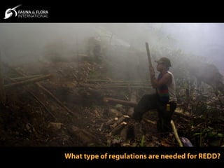What type of regulations are needed for REDD?