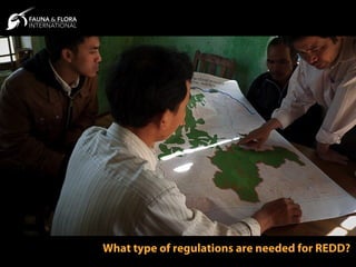 What type of regulations are needed for REDD?