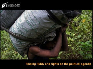 Raising REDD and rights on the political agenda