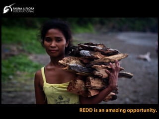 REDD is an amazing opportunity.