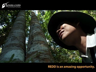REDD is an amazing opportunity.