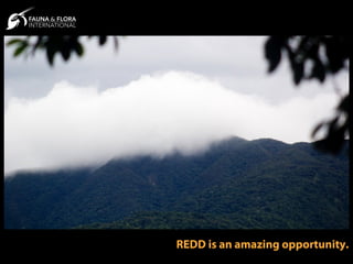 REDD is an amazing opportunity.