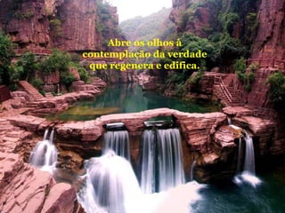 Abre os olhos à
contemplação da verdade
que regenera e edifica.

 
