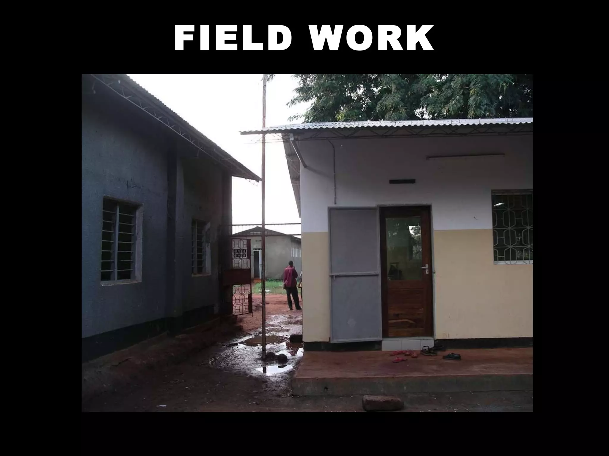 FIELD WORK 