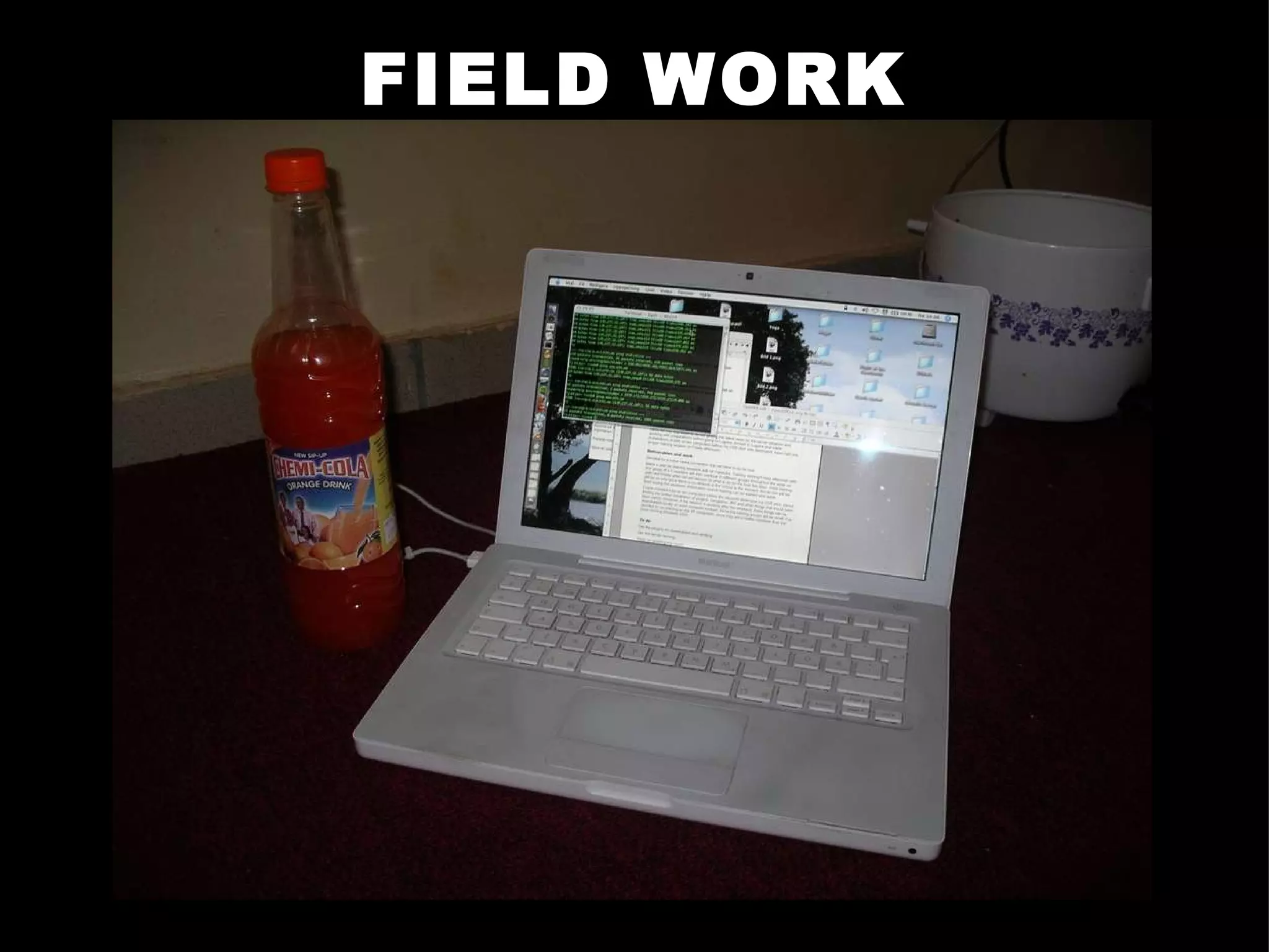 FIELD WORK 
