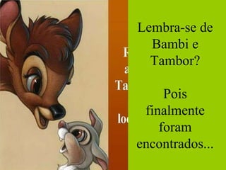 Lembra-se de Bambi e Tambor? Pois finalmente foram encontrados... 