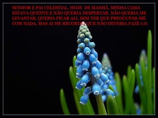 SENHOR E PAI CELESTIAL, HOJE  DE MANHÃ, MINHA CAMA ESTAVA QUENTE E NÃO QUERIA DESPERTAR. NÃO QUERIA ME LEVANTAR, QUERIA FICAR ALI, SEM TER QUE PREOCUPAR-ME COM NADA, MAS AI ME RECORDEI QUE NÃO DEVERIA FAZÊ-LO. 