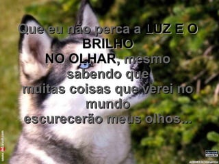 Que eu não perca a  LUZ E O BRILHO NO OLHAR , mesmo sabendo que muitas coisas que verei no mundo escurecerão meus olhos... 