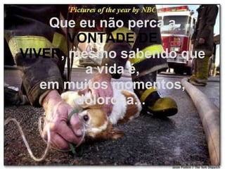 Que eu não perca a  VONTADE DE VIVER , mesmo sabendo que a vida é, em muitos momentos, dolorosa...   