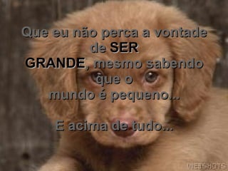 Que eu não perca a vontade de  SER GRANDE , mesmo sabendo que o mundo é pequeno... E acima de tudo... 