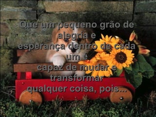 Que um pequeno grão de alegria e esperança dentro de cada um é capaz de mudar e transformar qualquer coisa, pois... 