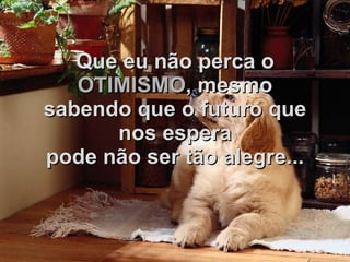 Que eu não perca o   OTIMISMO , mesmo sabendo que o futuro que nos espera pode não ser tão alegre... 