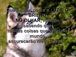Que eu não perca a  LUZ E O BRILHO NO OLHAR , mesmo sabendo que muitas coisas que verei no mundo escurecerão meus olhos... 