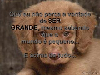Que eu não perca a vontade de  SER GRANDE , mesmo sabendo que o mundo é pequeno... E acima de tudo... 