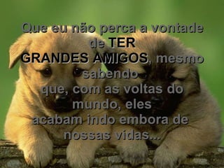 Que eu não perca a vontade de  TER GRANDES AMIGOS , mesmo sabendo  que, com as voltas do mundo, eles acabam indo embora de  nossas vidas... 