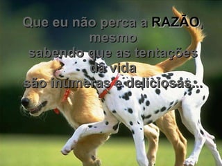 Que eu não perca a  RAZÃO , mesmo sabendo que as tentações da vida são inúmeras e deliciosas... 