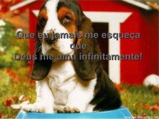 Que eu jamais me esqueça que Deus me ama infinitamente! 